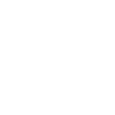 Social Dynamics Logo